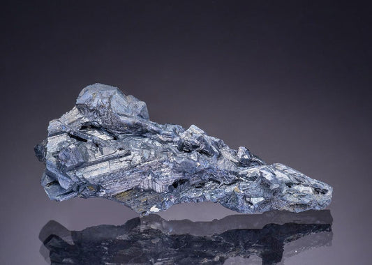 CC43676 specimen image