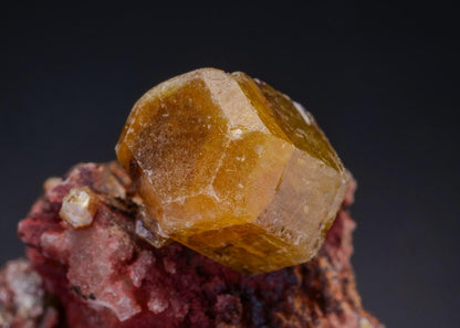 CC43710 specimen image