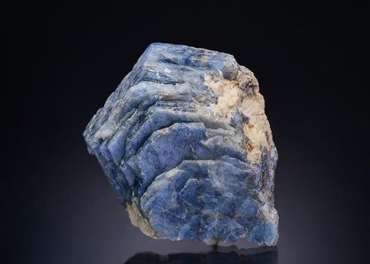 CC43714 specimen image