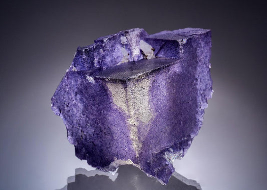 CC43724 specimen image