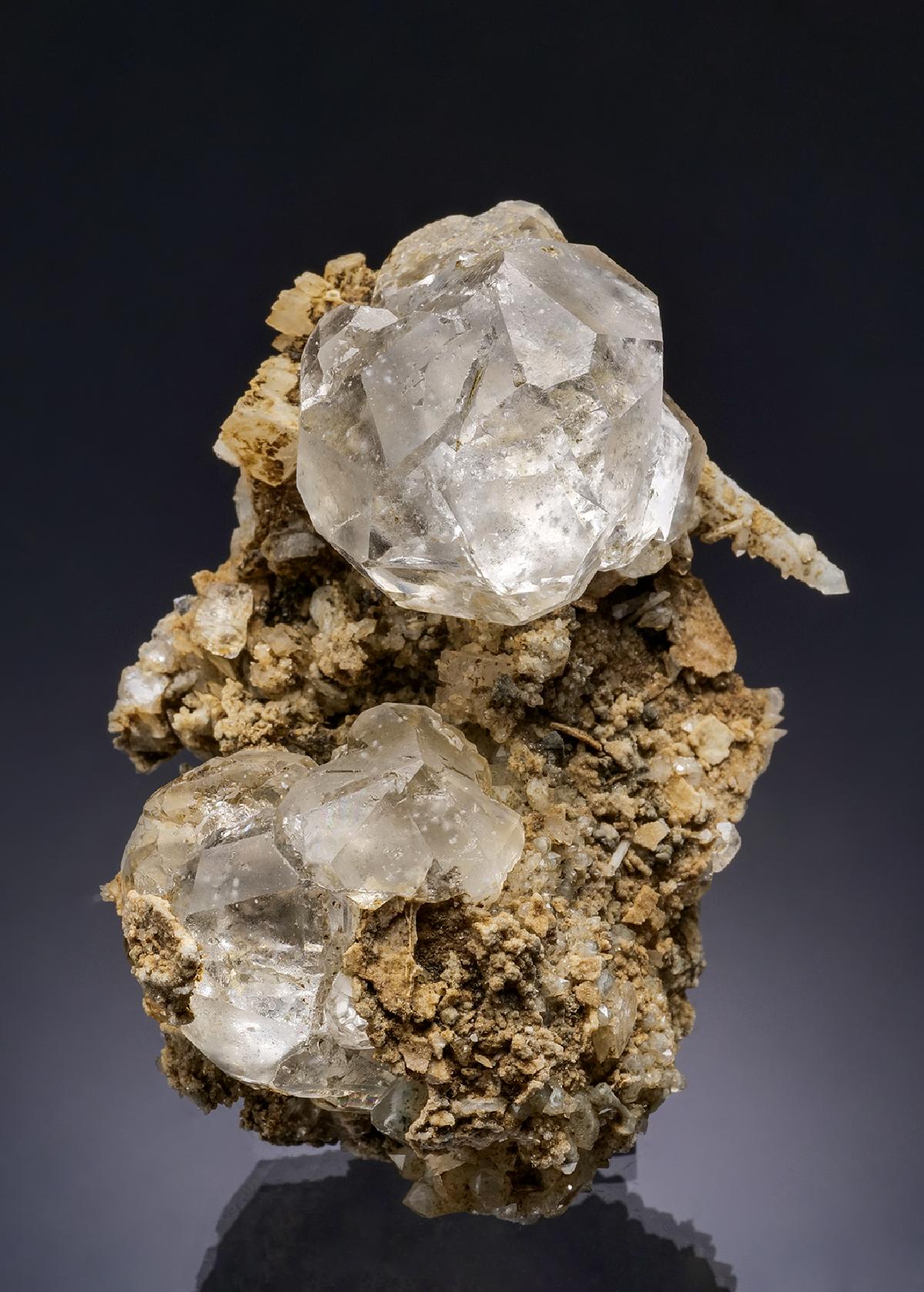 CC43730 specimen image