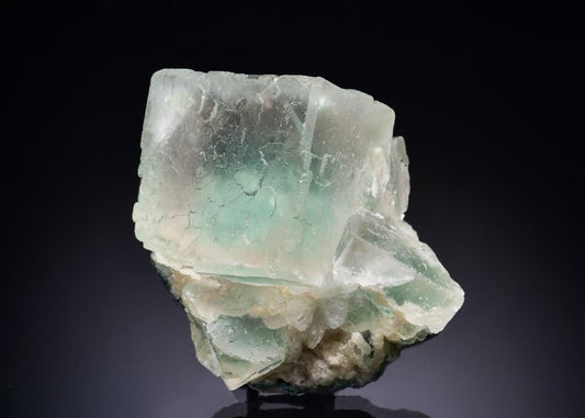 CC43768 specimen image