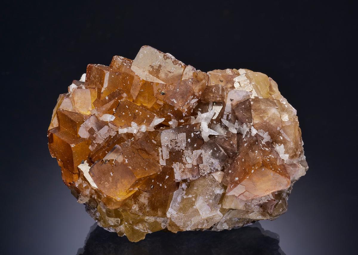 CC43790 specimen image