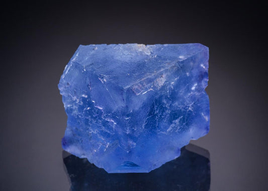 CC43806 specimen image