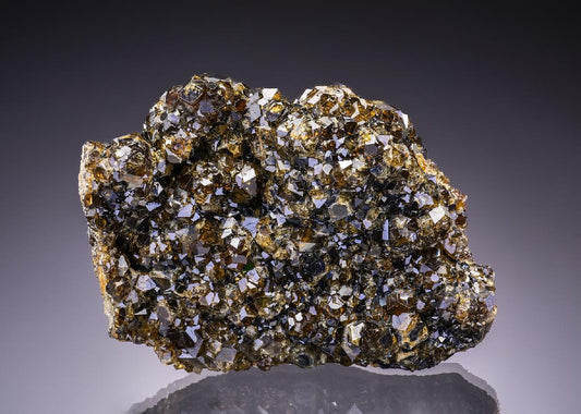 CC43826 specimen image