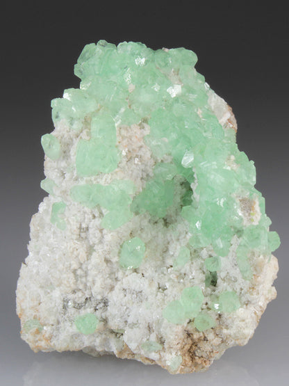 CC4384 specimen image