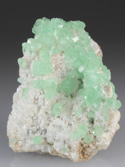 CC4384 specimen image