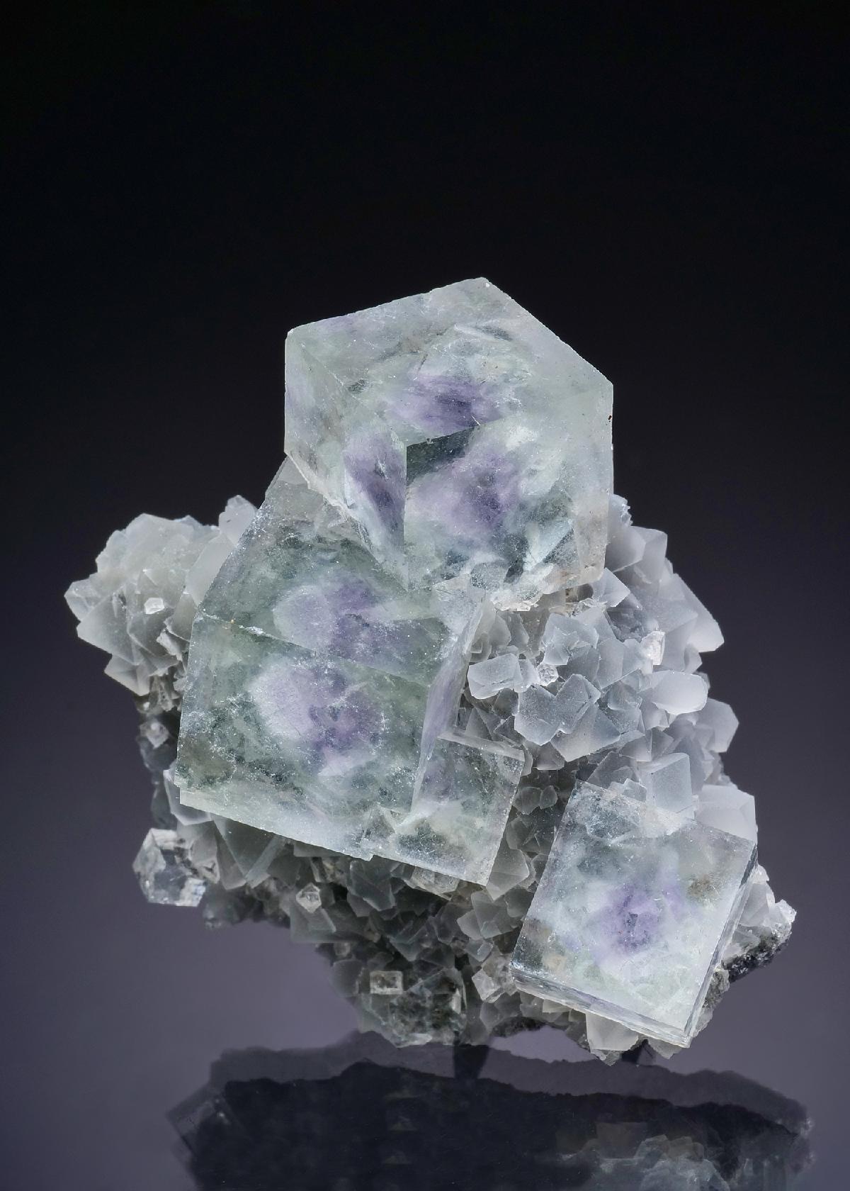 CC43860 specimen image