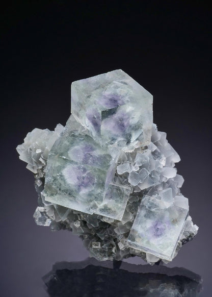 CC43860 specimen image