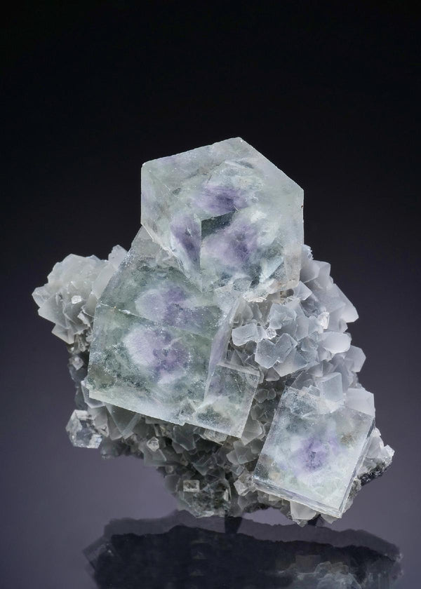 CC43860 specimen image