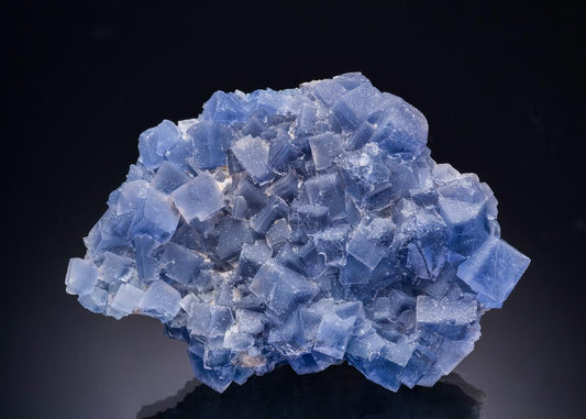 CC43924 specimen image