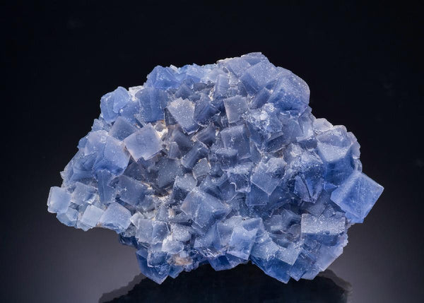 CC43924 specimen image