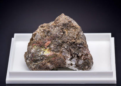 CC43934 specimen image