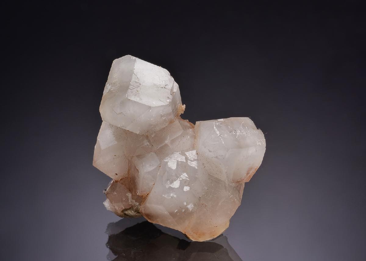 CC43940 specimen image