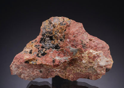CC43942 specimen image
