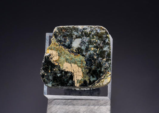 CC43962 specimen image