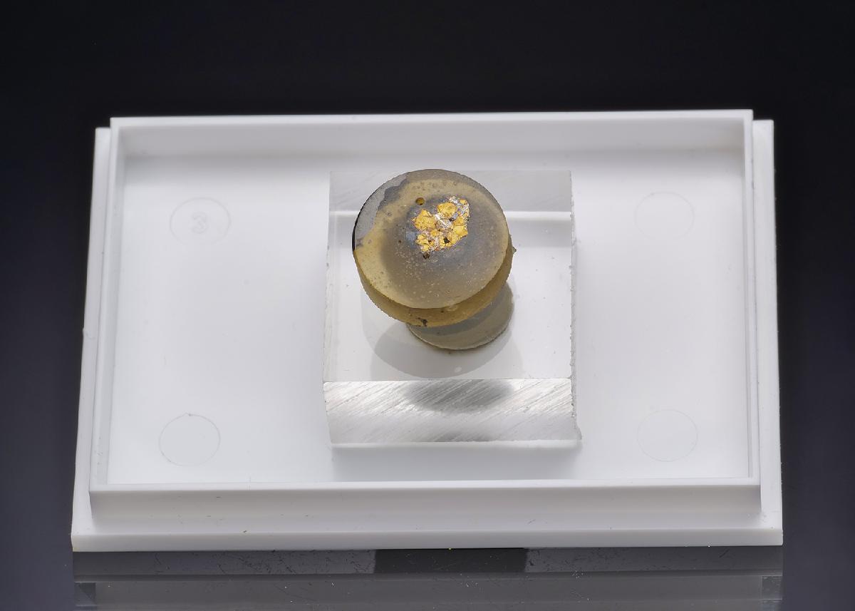 CC43964 specimen image