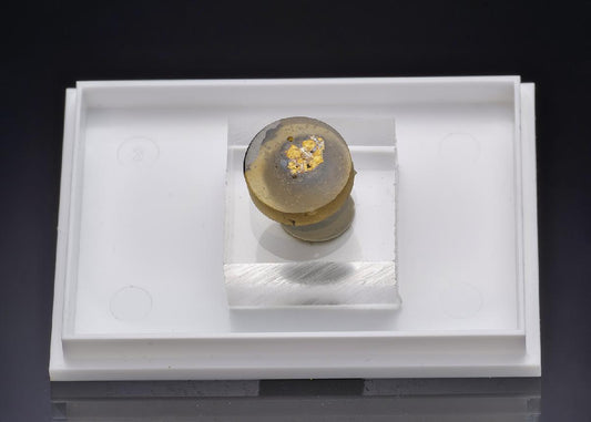 CC43964 specimen image