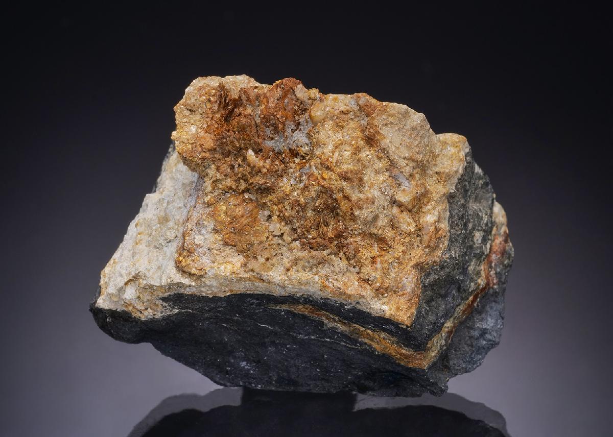 CC43972 specimen image