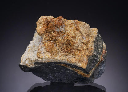 CC43972 specimen image