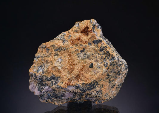 CC43980 specimen image