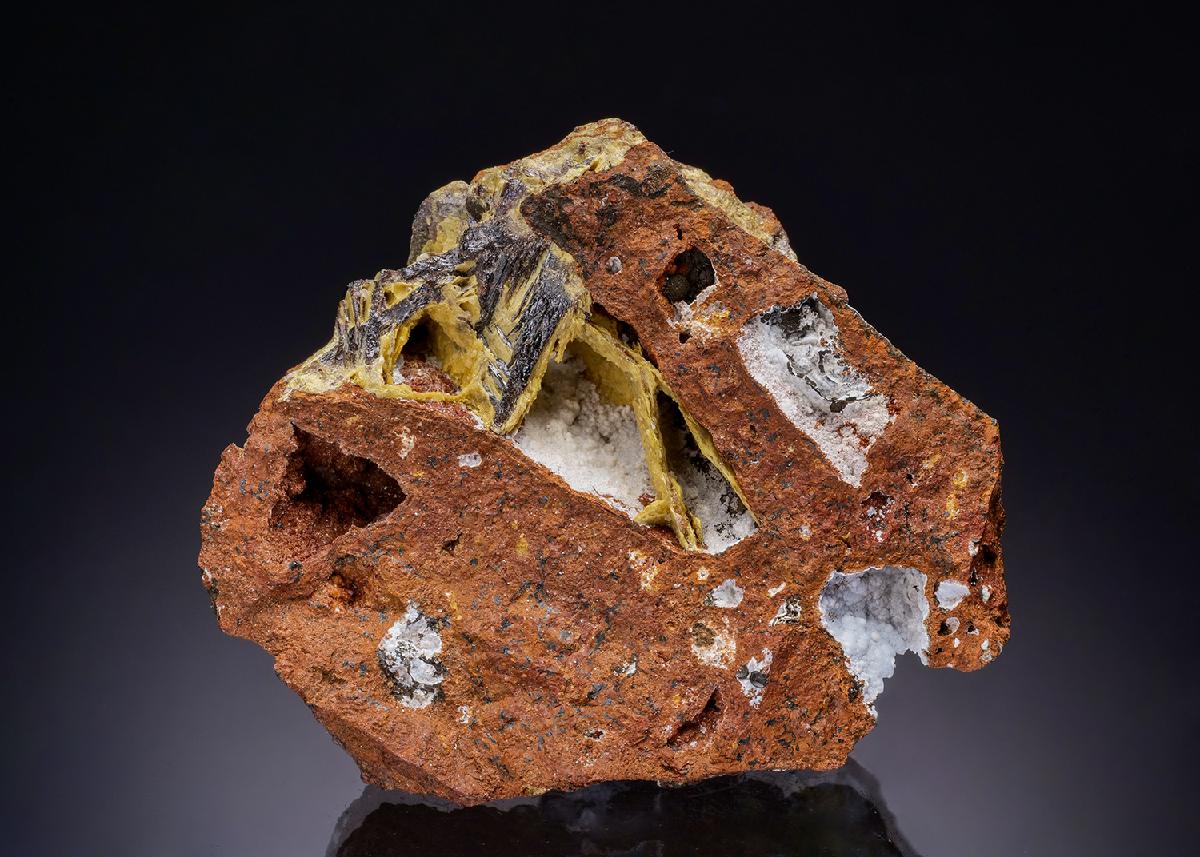 CC43998 specimen image