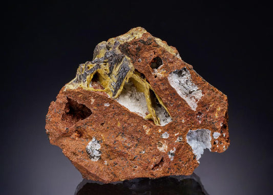 CC43998 specimen image