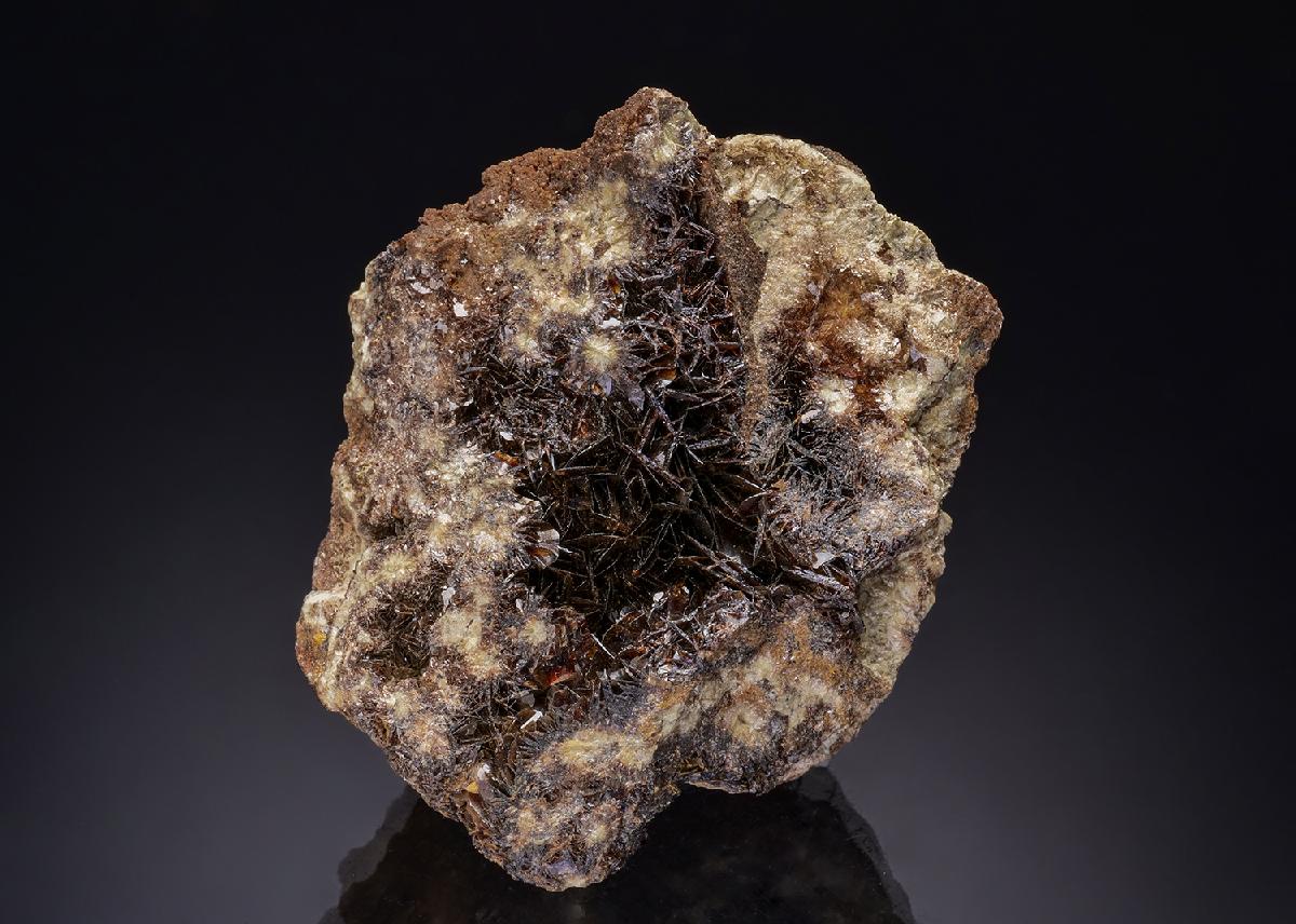 CC44000 specimen image