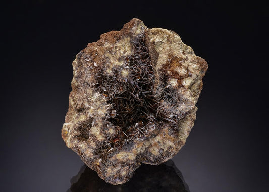 CC44000 specimen image