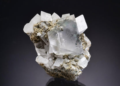 CC44012 specimen image