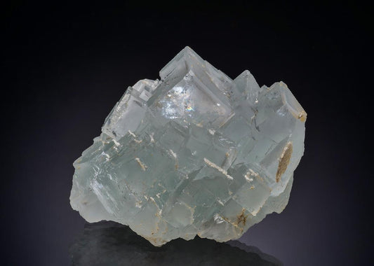 CC44042 specimen image