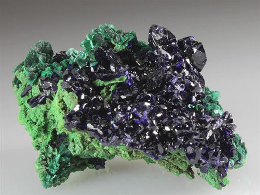 CC4405 specimen image