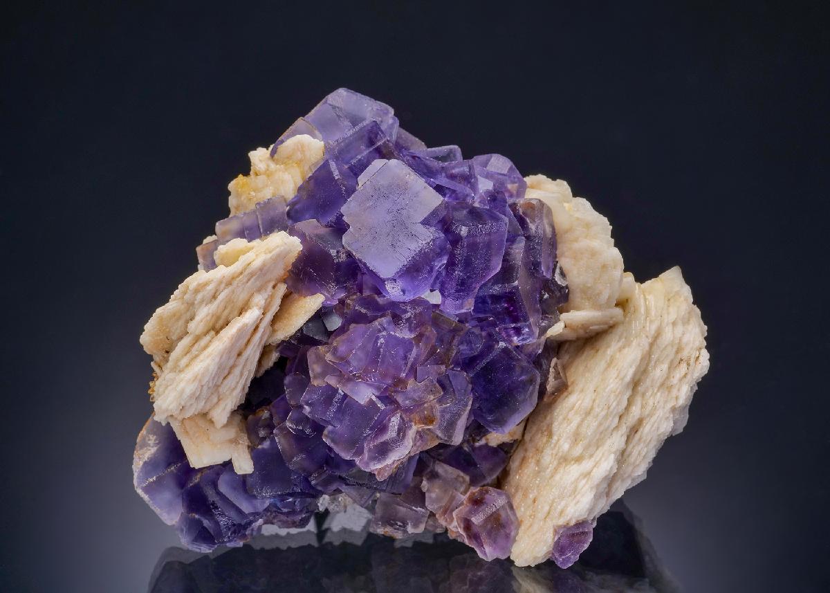 CC44094 specimen image