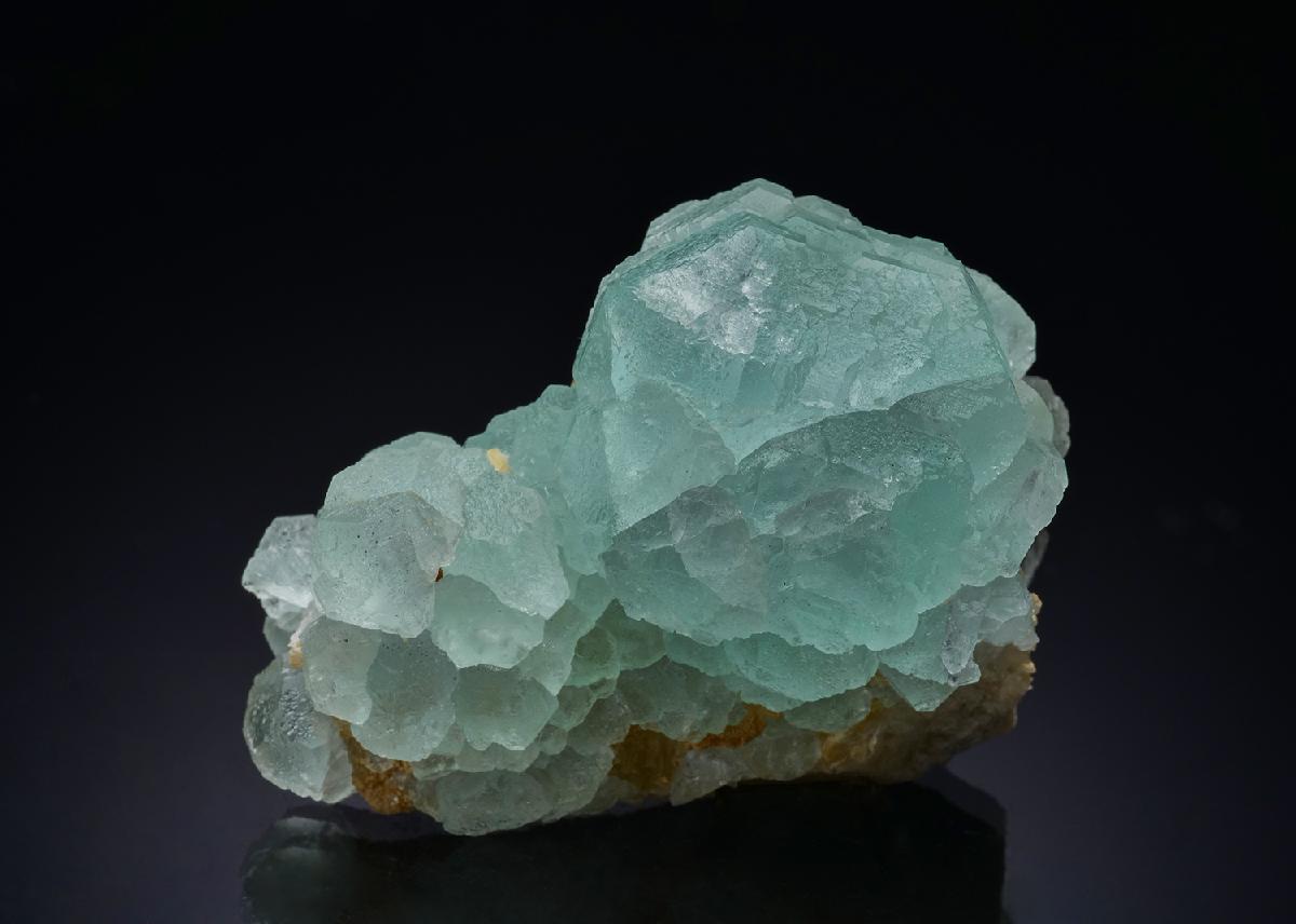 CC44112 specimen image