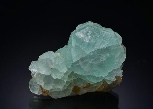 CC44112 specimen image