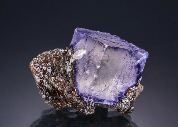 CC44118 specimen image