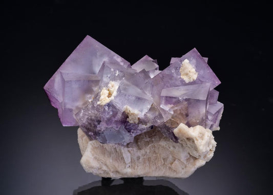 CC44122 specimen image