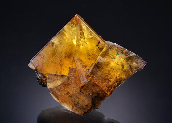 CC44124 specimen image