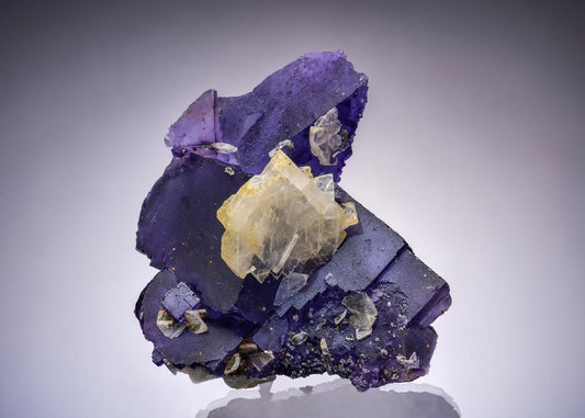 CC44128 specimen image