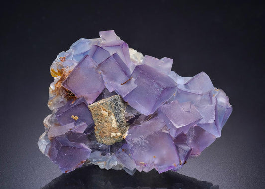 CC44208 specimen image