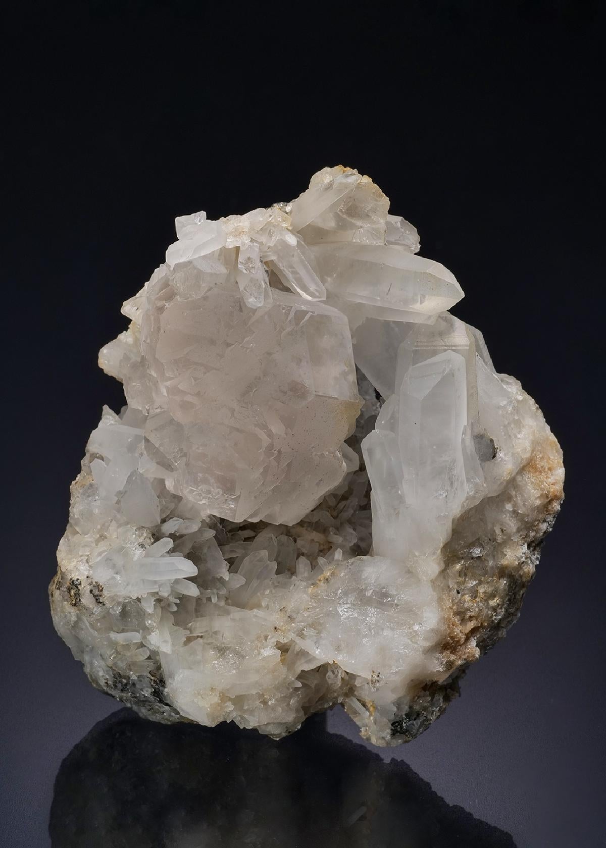 CC44232 specimen image