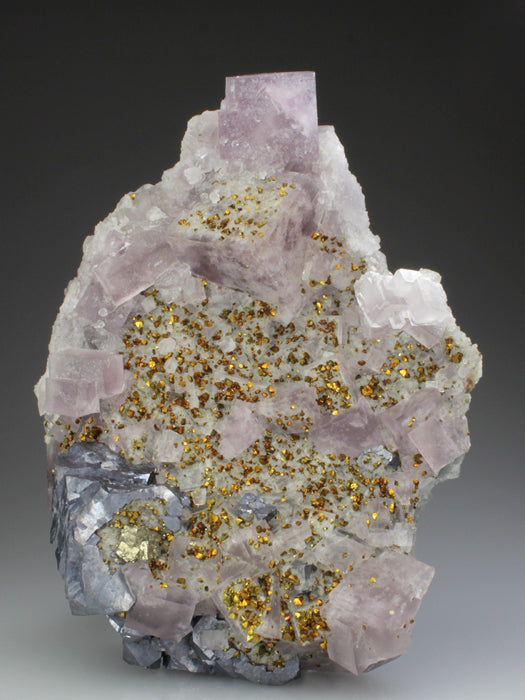 CC4424 specimen image