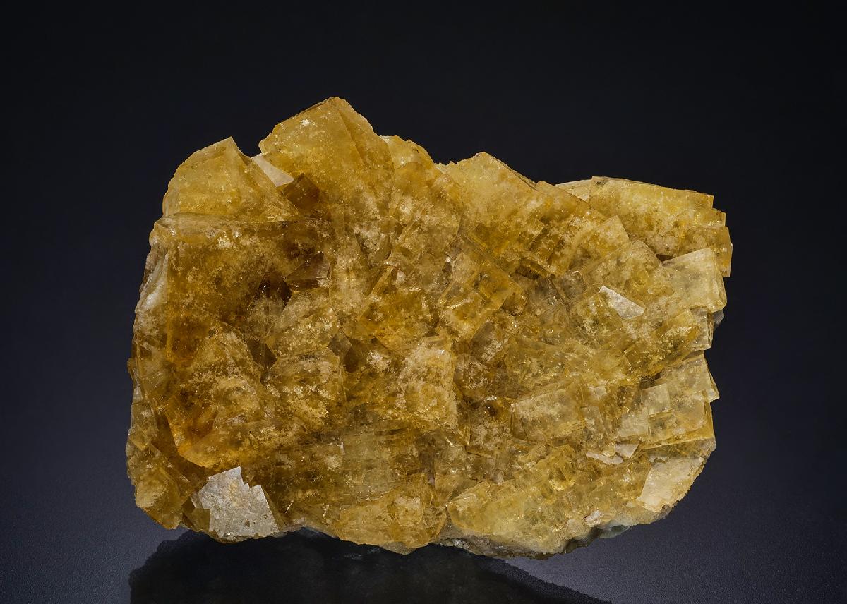 CC44244 specimen image