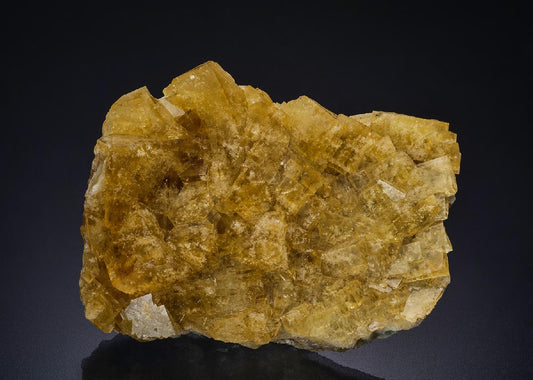 CC44244 specimen image