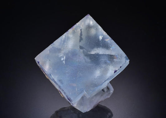 CC44254 specimen image