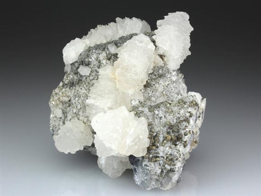 CC4430 specimen image