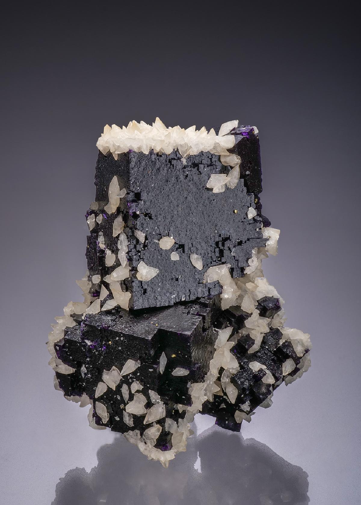 CC44314 specimen image