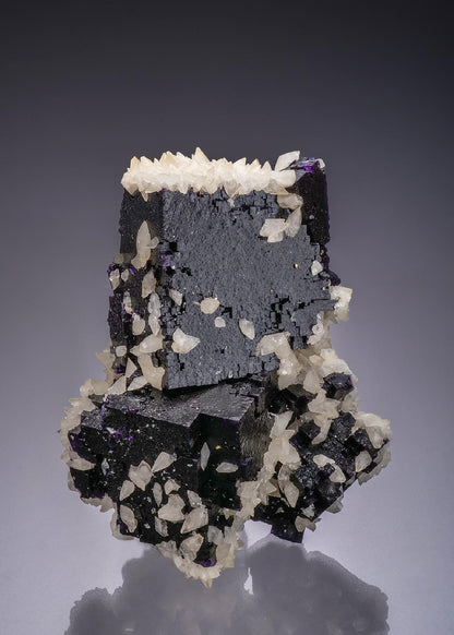 CC44314 specimen image