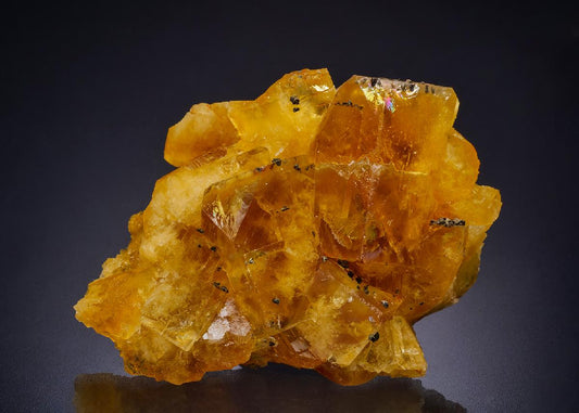 CC44320 specimen image