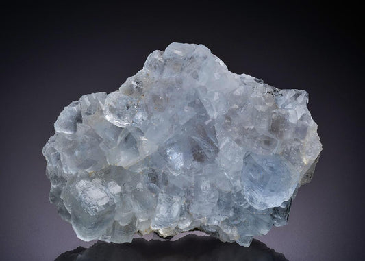 CC44324 specimen image